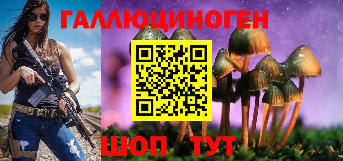 Камышин  Галлюциногенные грибы мицелий  Вход с VPN 